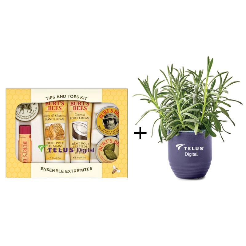 Burt's Bee Tips & Toes Kit with ModernSprout Garden Vibes Candle